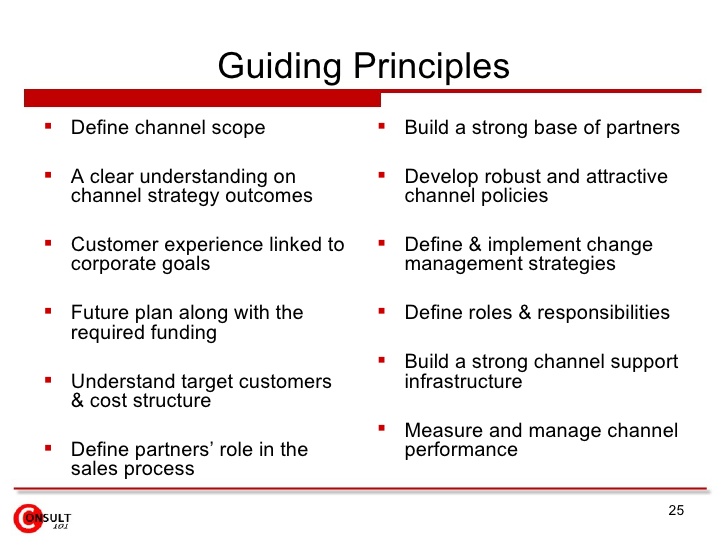 sample guiding principles